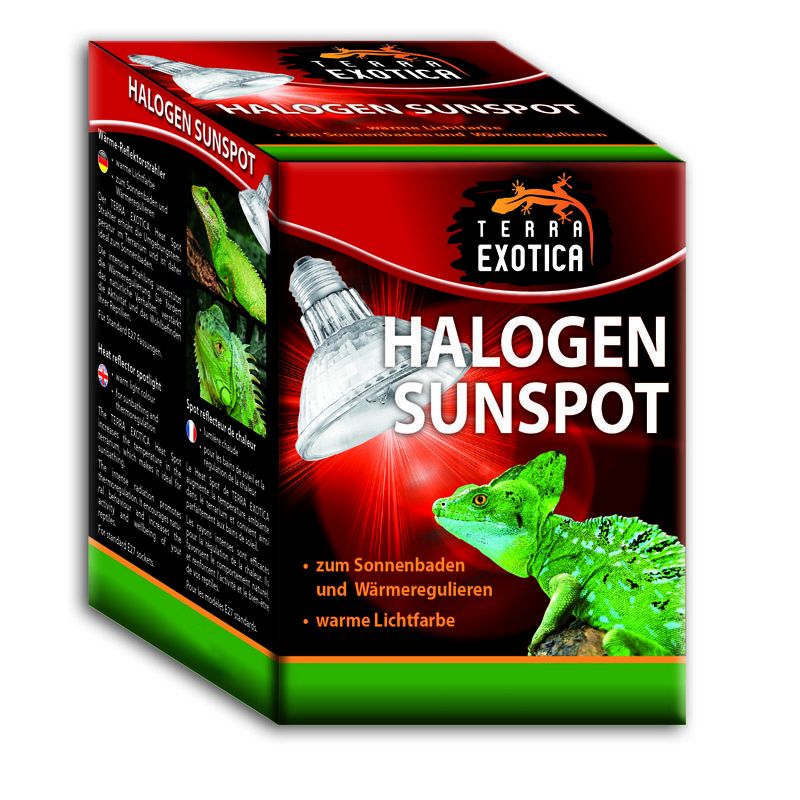 1- Halogen-Sunspot