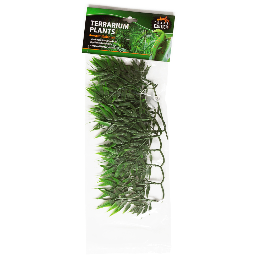 bamboo rattan - small - 1