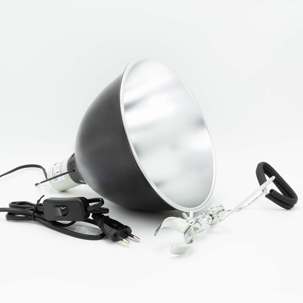light dome - medium - 1