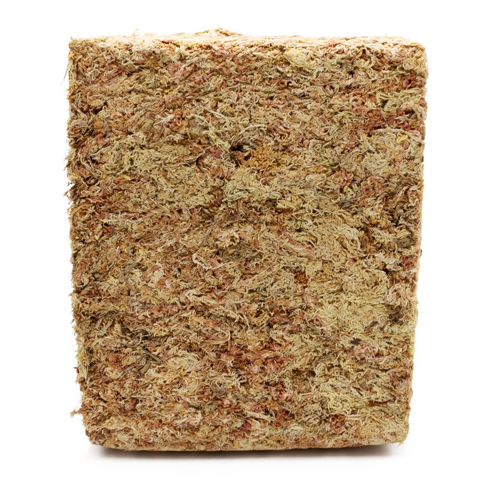 sphagnum moos - 500g - 1